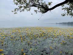 -西昌邛海宾馆
