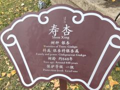 -苏州文庙(姑苏区)