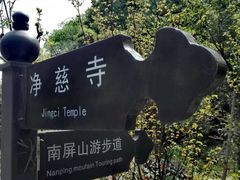 -九曜山