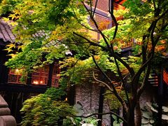 景观位-鱼桥巷·美学川菜