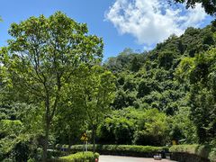 -火炉山森林公园