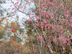 -福建鲤鱼洲酒店