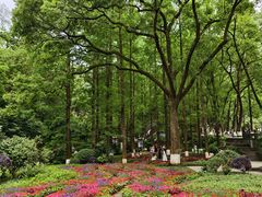 -忠山公园