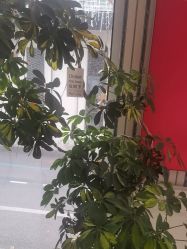 点击看大图 -爱儿美儿童摄影(五路居花园别墅店)