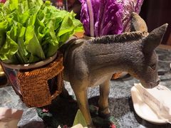 -慢丽江·云南野生菌土鸡锅(西山店)