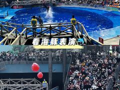 -海合安成都极地海洋公园