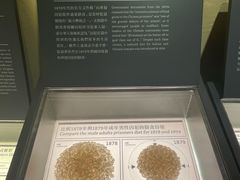 -大馆(前中区警署建築群)