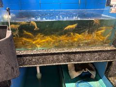 -王庄阿咪海鲜大排档(象园店)