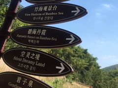 -宁波浙东大竹海景区