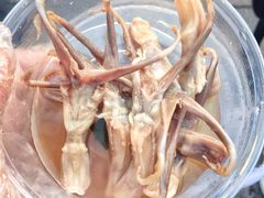 鸭舌-鸡脚旮旯平江路店