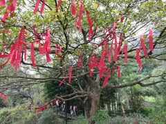 -黄公望隐居地