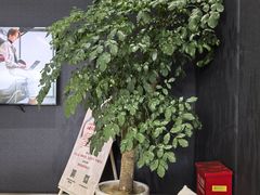 -上海浦东smart汽车全功能店(金桥店)