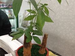 iphone_upload_pic-一格寿司