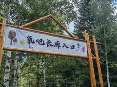-汤旺河林海奇石景区