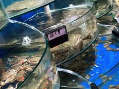 水产区-蓝珊甄选海鲜自助·火锅大排档(近阿那亚店)