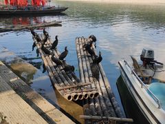 -楠溪江竹筏漂流