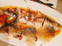 清蒸鲥鱼-红城阁·上海味道(四平路店)