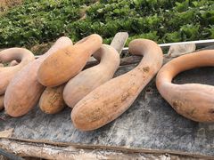 -丽泽山庄·生态怀柔菜·虹鳟鱼(红螺寺店)