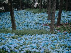 -临平公园(临平街道)