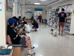 -美联众合动物医院·24h京西诊疗中心