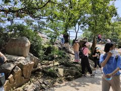 -紫金山山顶公园