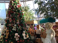 -济州岛泰迪熊博物馆