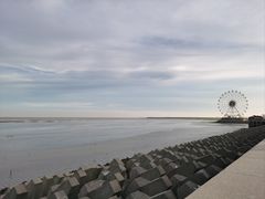 -碧海金沙