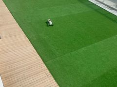 -海岛日记(养马岛店)