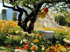 -名花谷生态庄园