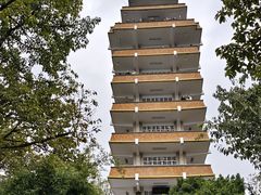 -鹅岭公园瞰胜楼