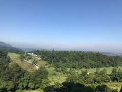 -成都蒲江花样年福朋喜来登度假酒店·宜客乐西餐厅