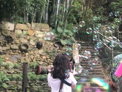 -老木棉·匠园