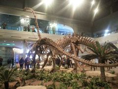 -自贡恐龙博物馆