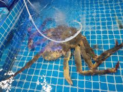 -柒柒海里·平价海鲜·蒸汽·家宴(金沙滩店)