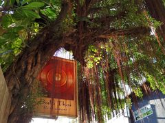 -Sala Thai Restaurant