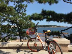 -青岛第二海水浴场