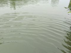 -龙潭水乡