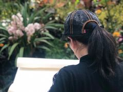 -北京植物园-展览温室