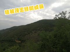 -秦岭风景区
