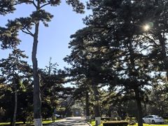 -辽宁友谊宾馆