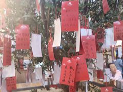 -东升灌浆包(辛庄街总店)