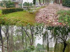 -千龙湖生态旅游度假区