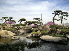 -罗红摄影艺术馆