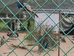 -苏州上方山国家森林公园