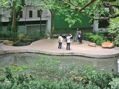 -香港大学