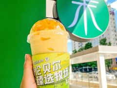 -茉酸奶(春熙路店)