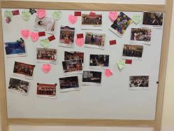 -康乃馨·馨悦佳人(鹭江店)