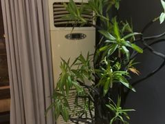 -金狮麟·新豫菜(杏石口路店)