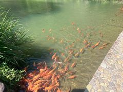 -楠溪江风景名胜区