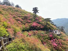 -木兰云雾山